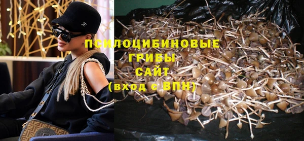 spice Баксан