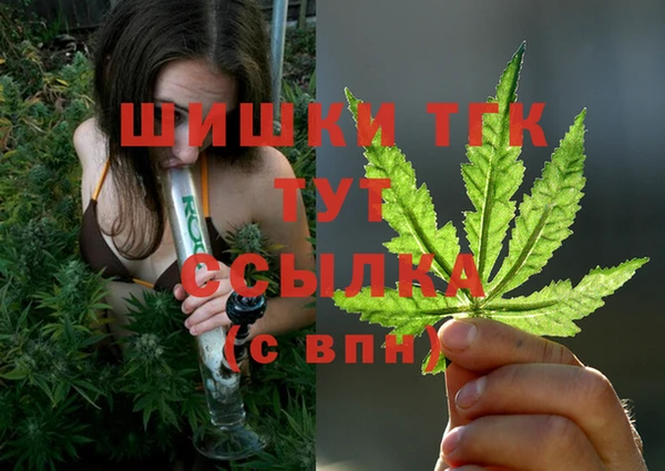 spice Баксан
