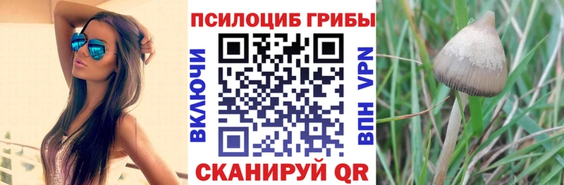 Псилоцибиновые грибы MAGIC MUSHROOMS  что такое наркотик  Зеленоградск 